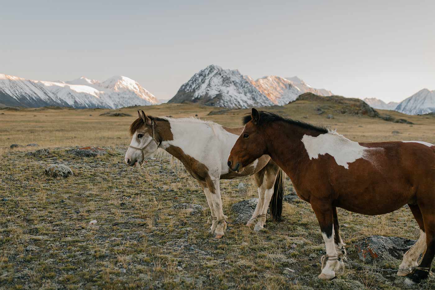 Little House on the Prairie – 15 Great Tips Simple Ways to Practice Slow Living