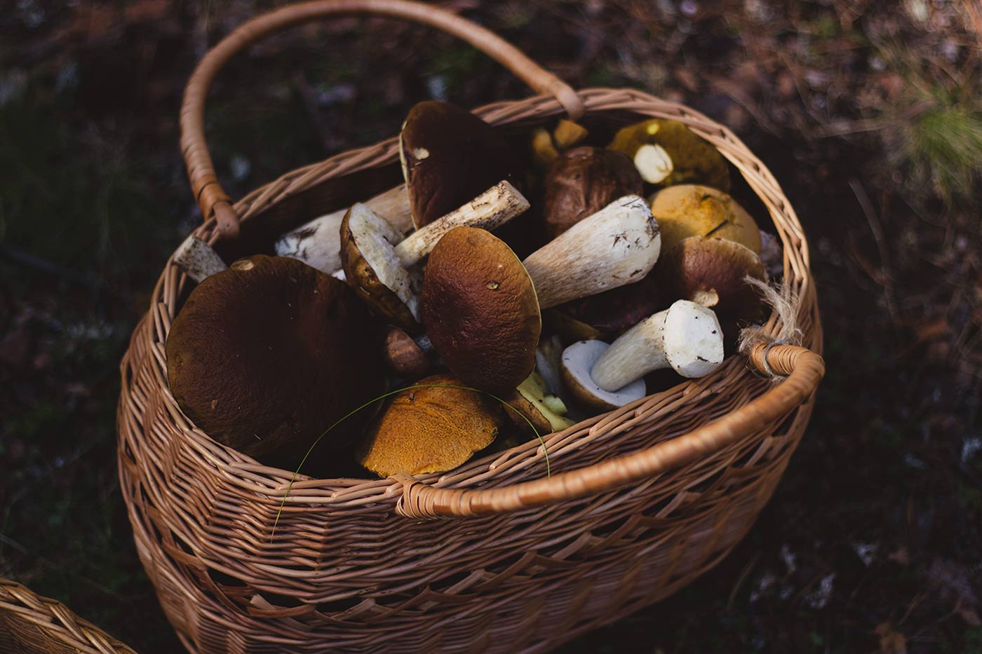 Fresh and Organic Basket – Order Online Organic Food Basket